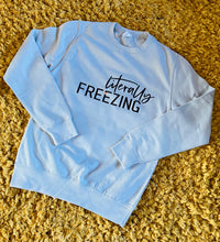 Load image into Gallery viewer, Literally Freezing sweatshirt
