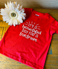 Load image into Gallery viewer, Beautiful day for a tantrum T -shirt
